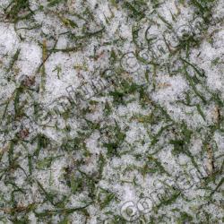 Seamless Grass Frozen